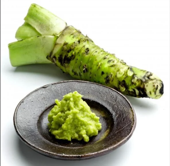 Hot Horseradish100% wasabi sauce Mustard wasabi powder