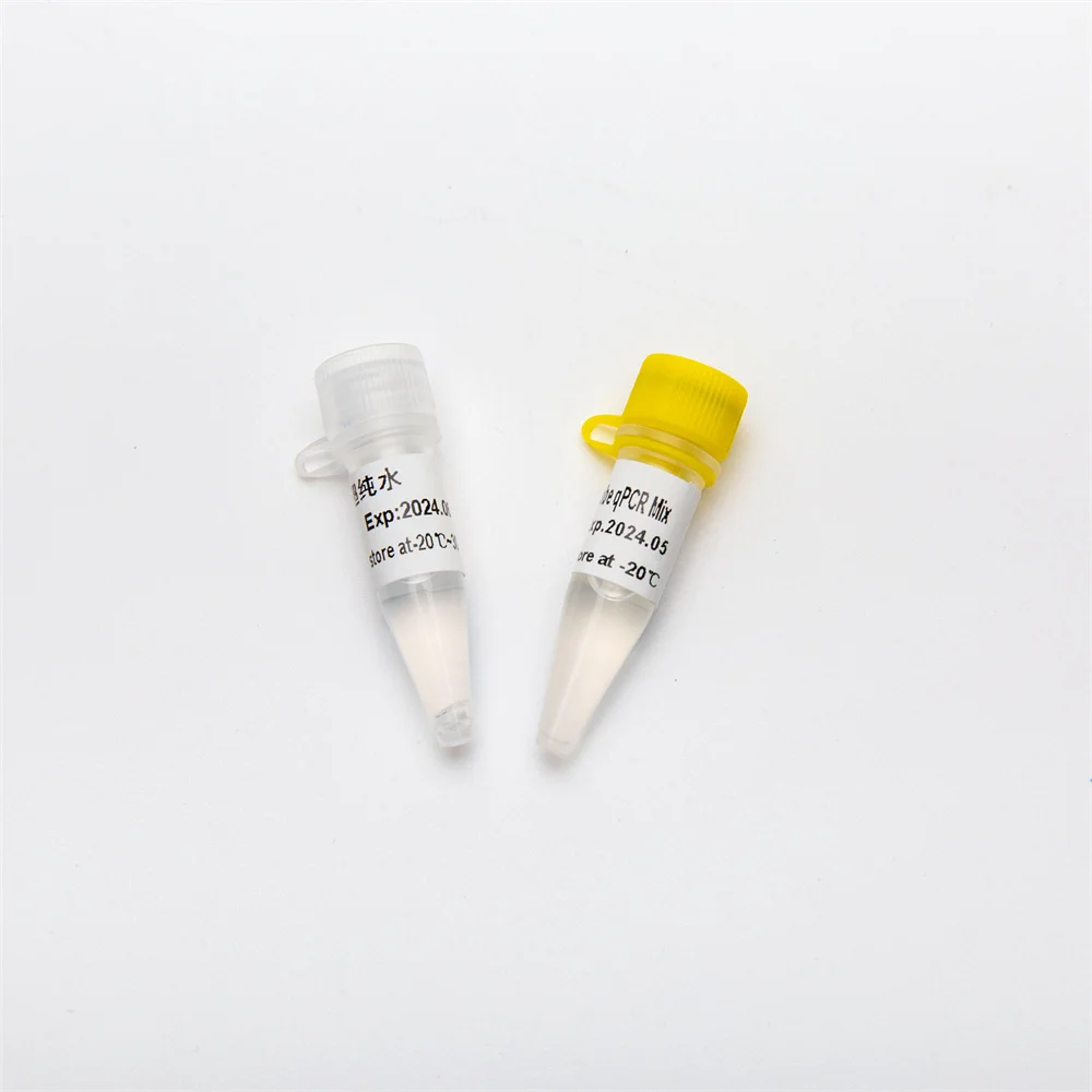 2x concentrated Hotstart Taq DNA Polymerase premix Multiplex Probe DNA qPCR Mix P2601