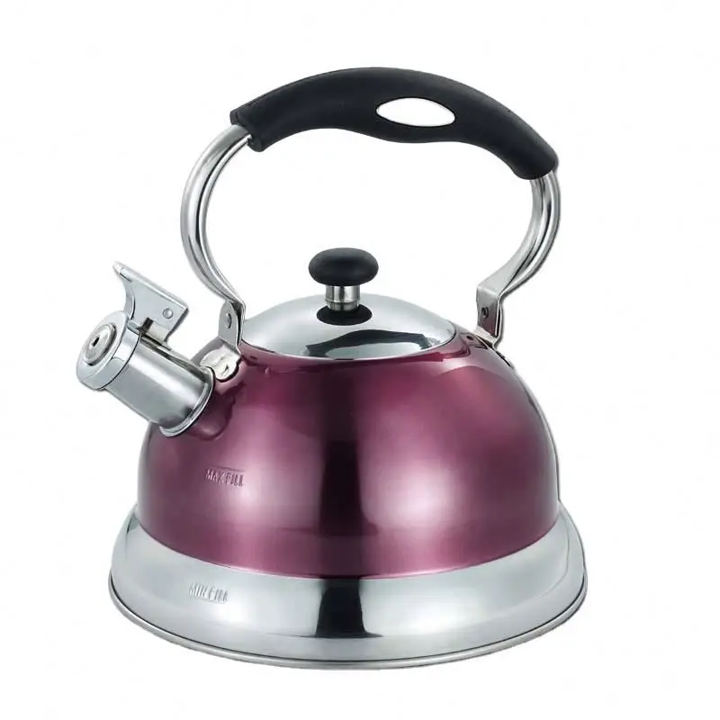 Cheapest Gas Stoves Funny Teapot Kettle For Stove 500Ml Whistle Silicone Handle Bouilloire Siffleur Gooseneck Deerma