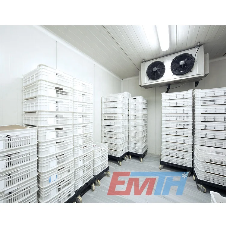 EMTH DL type capacity 133kw cold room evaporator evaporator cooler evaporative air cooler industrial