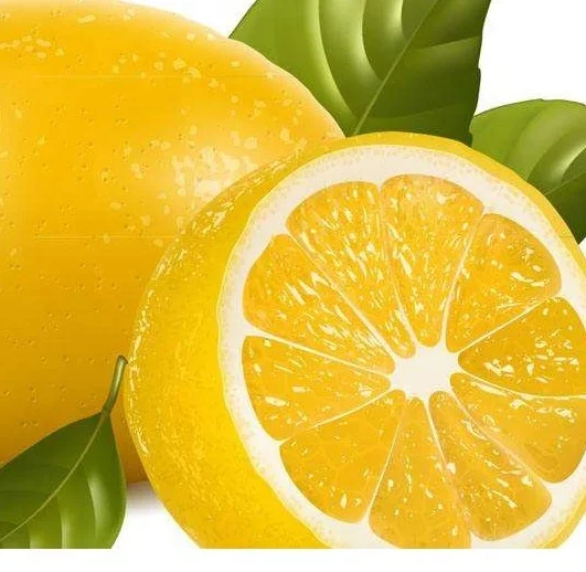 Industrial rotary evaporator Thin film evaporator for Fruit juice low temperature Wastewater condenser