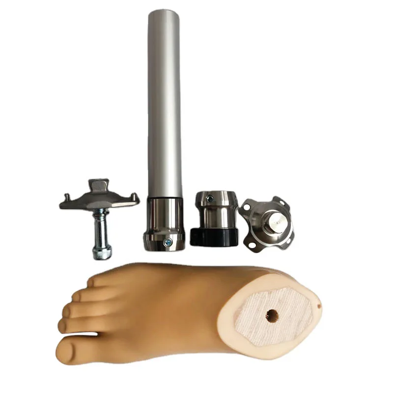 Manufacturer High Quality Artificial Limbs Leg Parts Prosthetics BK Lower limbs Prosthetic Leg