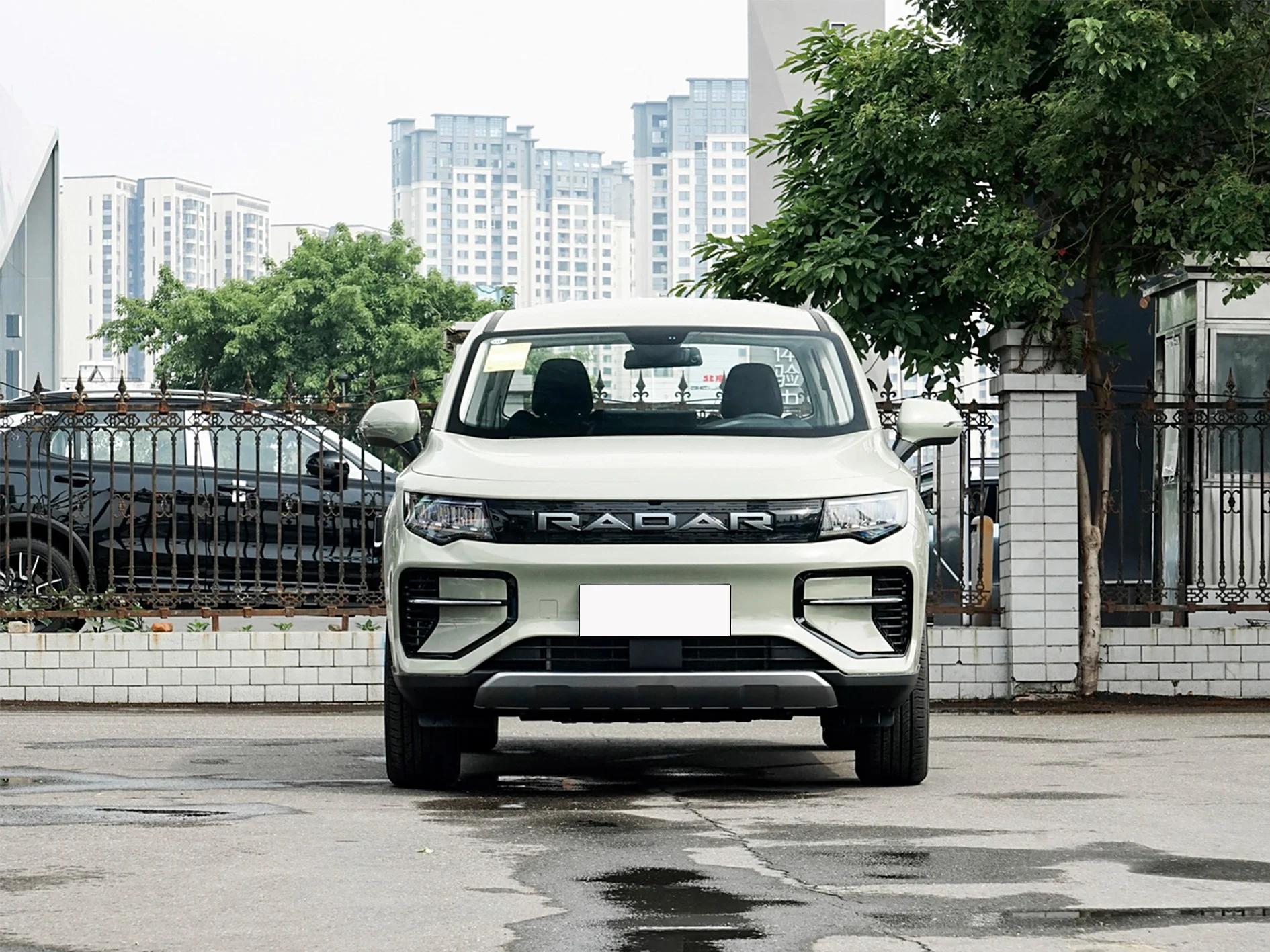 Used and New Hot Sales Pickup Truck Attractive Electric Vehicle New Energy Vehicles For RADAR RD6 2024 Horizon 520KM 4WD Air