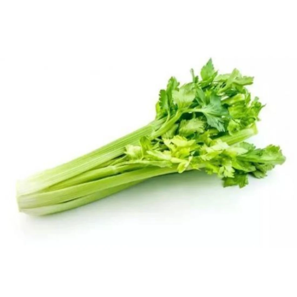 Wholesale Organic green vegetables fresh healthy green celery