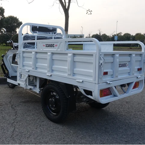 Excellent Chinese three-wheeled motorcycle cargo electric three-wheeled motorcycle
