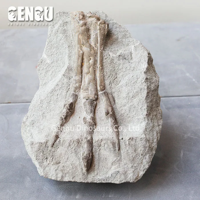 fiberglass fish fossils replicas