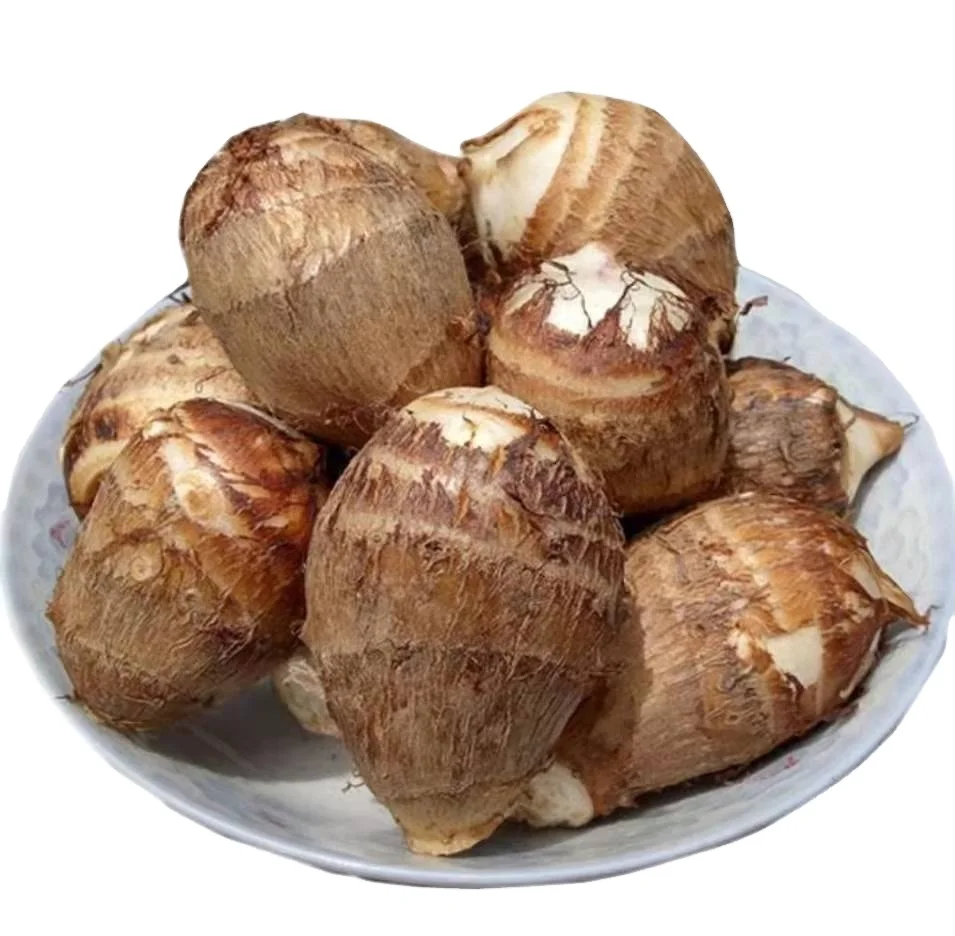 Cheap Quality  Crop Fresh Taro with Cheap Price for Sale