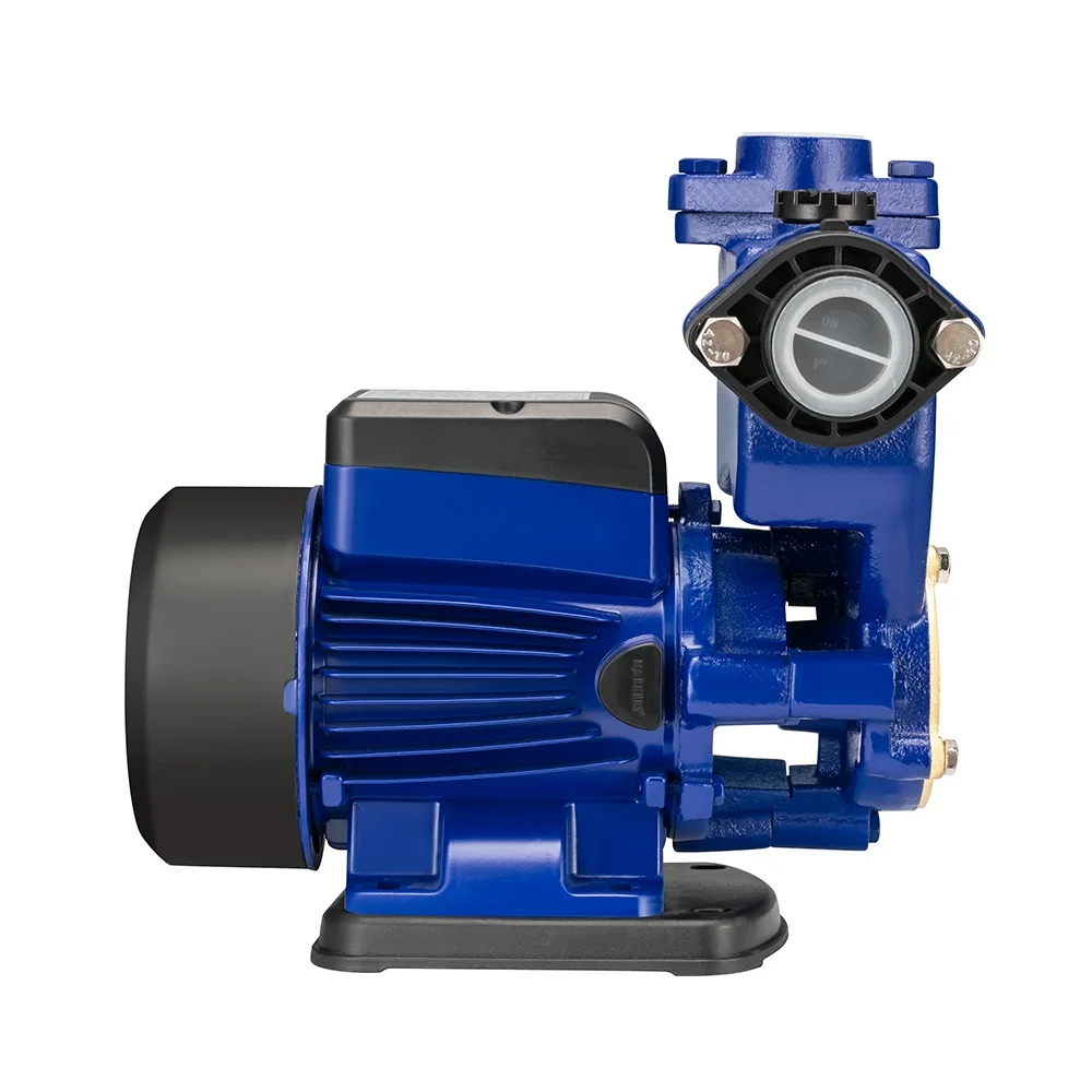 Automatic 220v electric selfpriming vortex water booster pump