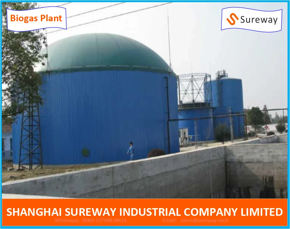 Animal/Livestock Farm Cstr Reactor Tank Type Biogas Plant