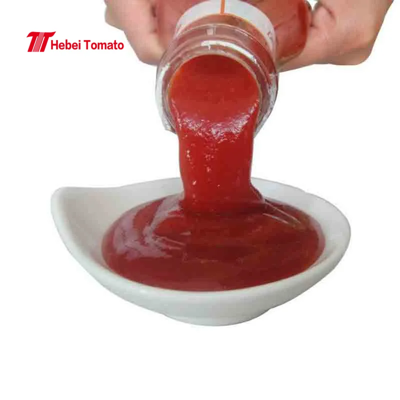 340g Tomato Ketchup Factory Cost Price