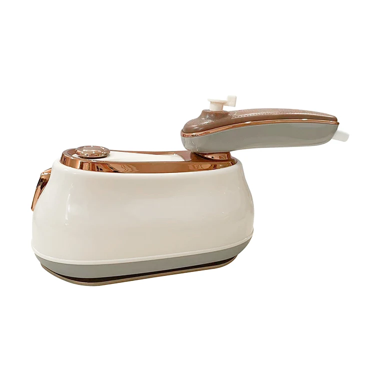 Multifunctional handheld cheap iron steam 1000W steam press iron Professional Electric Steam Iron