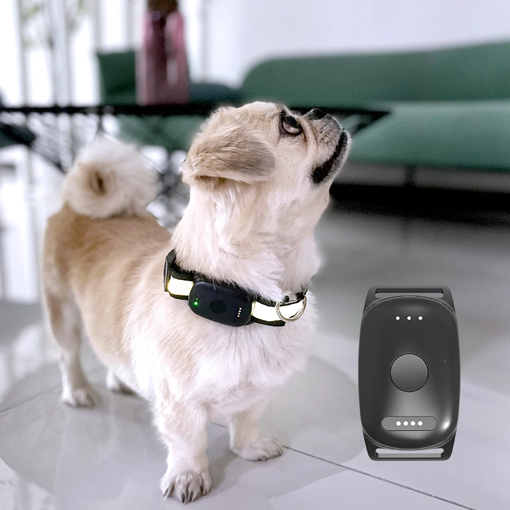 Brand Eview Locator EV-201 Real Time Dog GPS Tracking Device Collar With Custom Packing Box