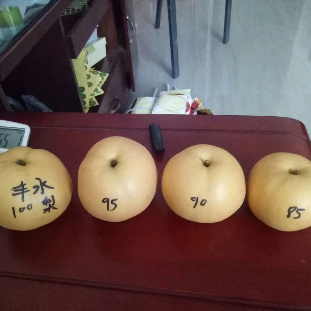 New Crop Competitive Price  Delicious Fengshui Pear