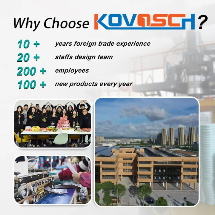 Heavy Duty Black Self Locking Gate Hardware Zinc Plated Rust Resistance Wooden Fence Farm Pool Gate Latch Lock Keyed Gate Latch