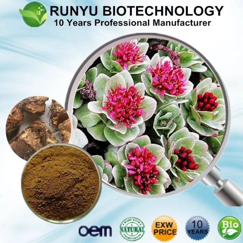 Health Supplement Pure Natural Rosavins Powder 3% 10% Salidrosides Rhodiola Rosea Extract