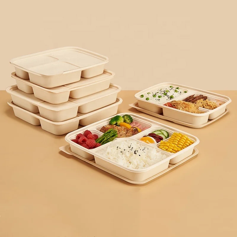 Biodegradable Tray Food Packaging Containers Lid Lunch Box Container Set