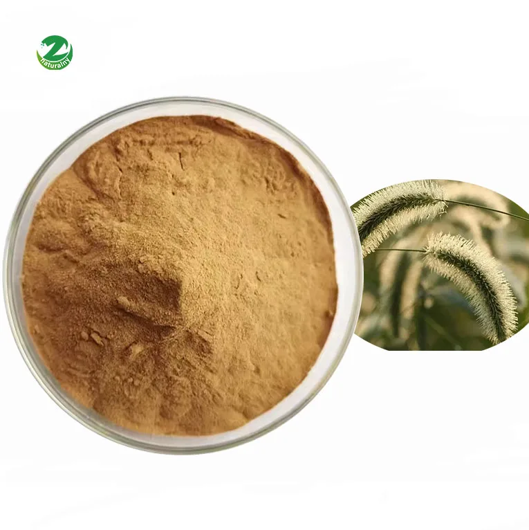 Заводская поставка чистый натуральный экстракт Травы Хвоща порошок органический силикагель 7% хвоща