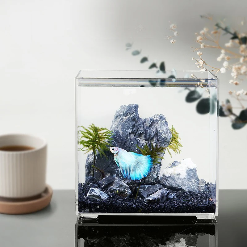 Factory multifunctional various models square acrylic aquarium glass fish tank with internal filter pump