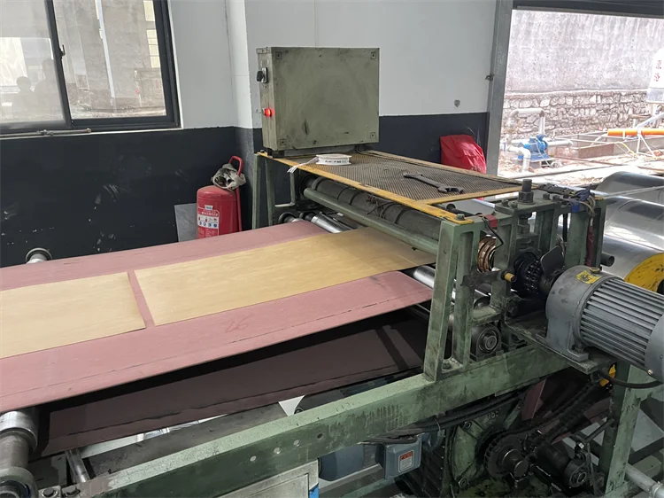 EVA FOAM TAEKWONDO MAT02.png