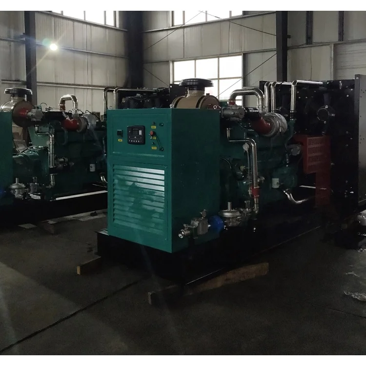 Grid-connected 1000kW biogas generator 1 MW natural gas generator 1000kW natural gas generator