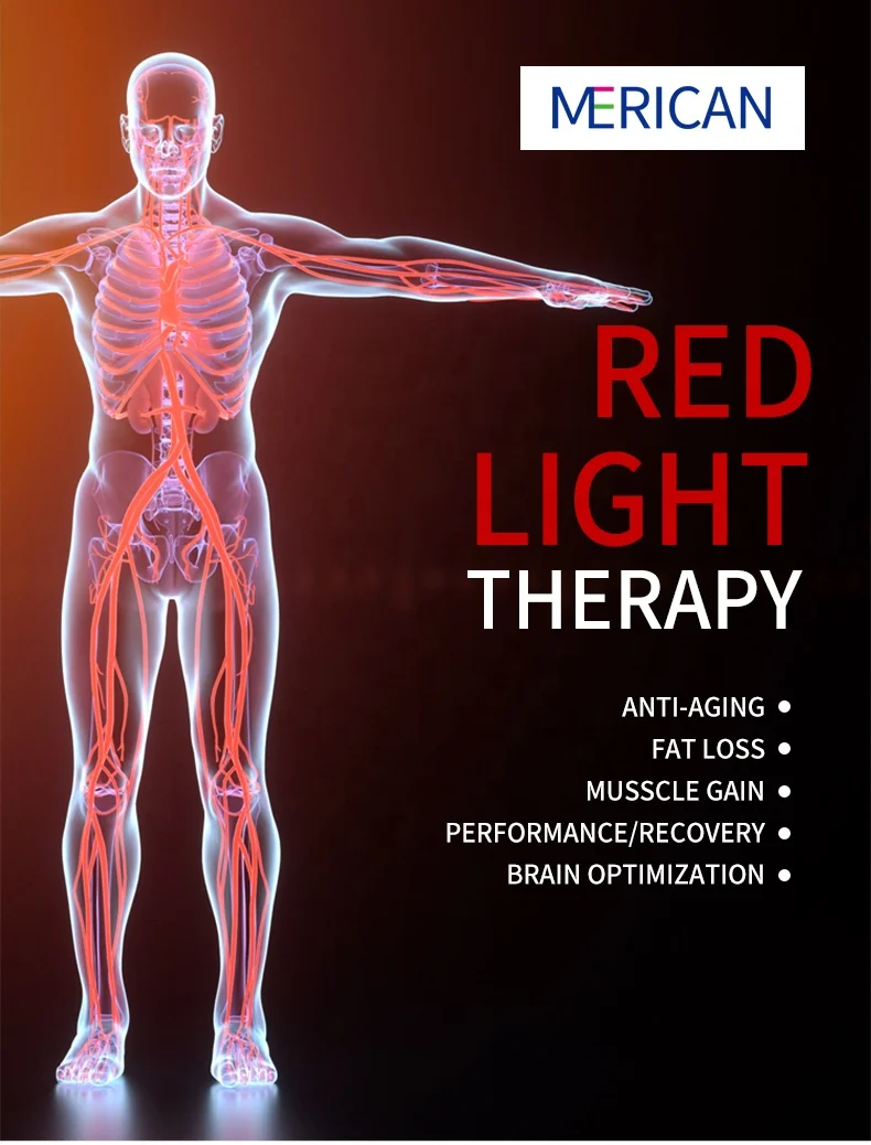 Mobile desktop 630nm 660nm 810nm 850nm 940nm professional skin rejuvenation ptd led light therapy machine