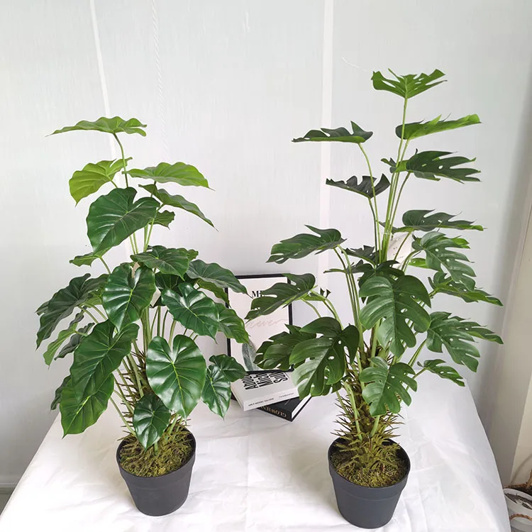 Xin Yuan Small Green Potted Decorative Monstera Artificial Turtle Back Leaves Bonsai Tree