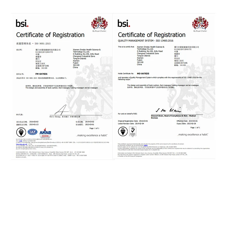 Spa Bath Basin Water Steamer Herbal Pedicure Electric Foot Bath SPA Massage Machine Foot Massager