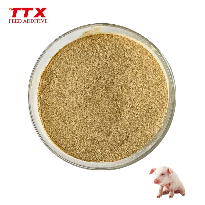 bio enzyme plus protease enzymes alpha amylase