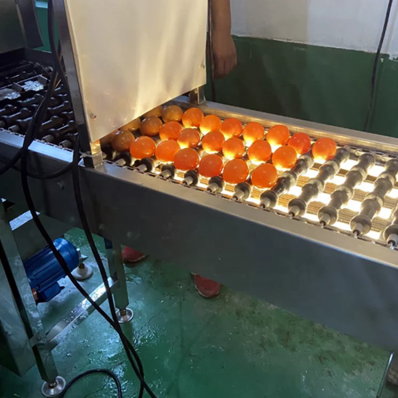 Cheap Egg Incubators for Sale Egg Lifter Transfer Machine Egg Candling Machine for Tunnel Hatcher