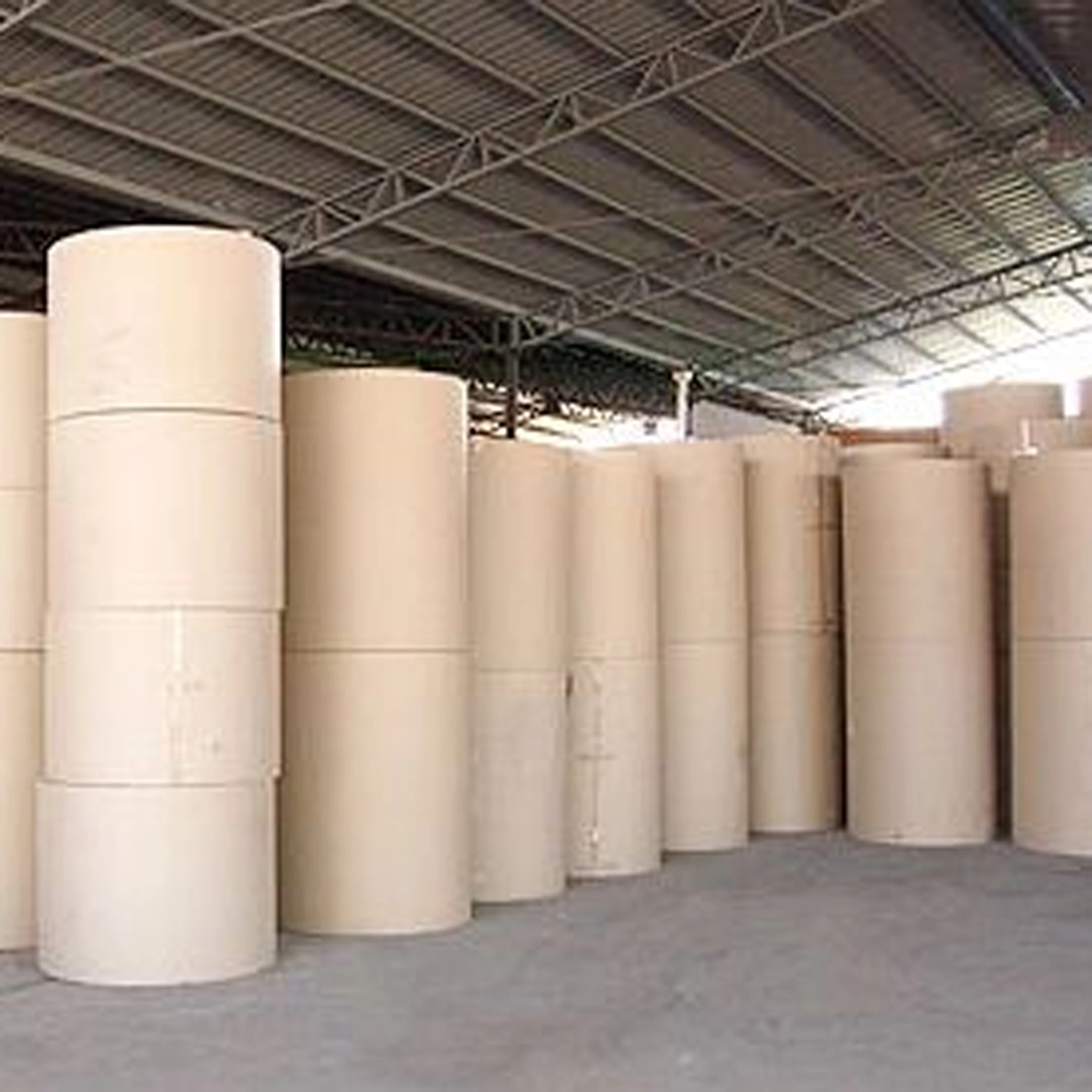 795mmx5000m for slitting thermal pos paper roll