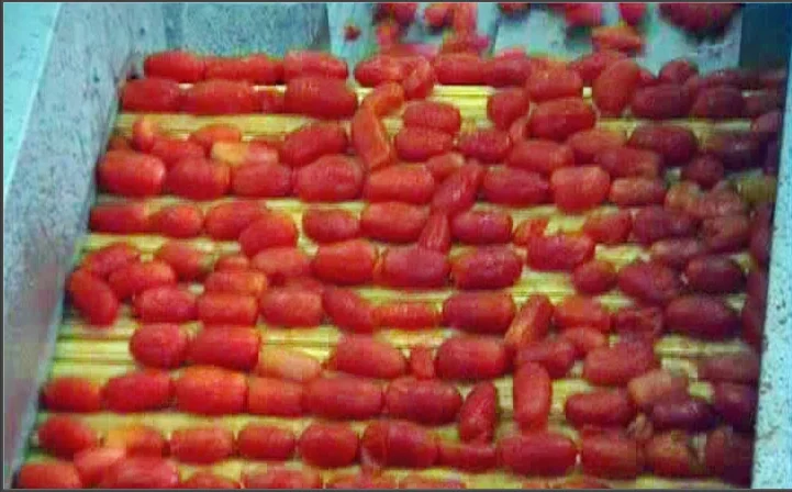 canned diced tomato  processing machindiced tomato canned fruit production line