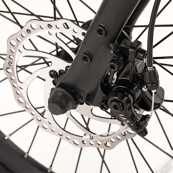 Wholesale Electric City Bike Lightweight Electrique 36V 250W Hidden Seat Post Battery Electric+bicycle for Lady Electronic