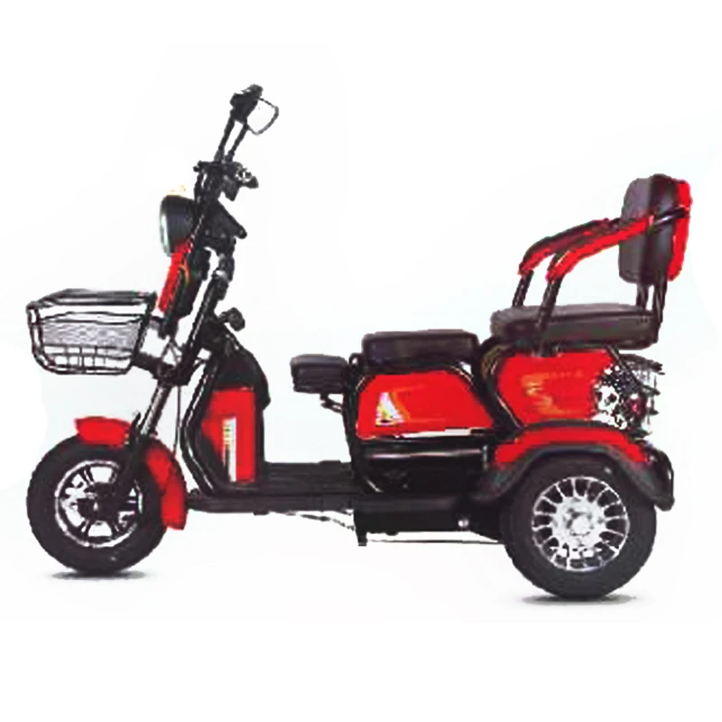 High Quality Adult Cargo Electric Tricycle 3 Wheel Adult Electric Bike LED Light Steel CE LCD Display Aluminum Alloy 80 12 Tube