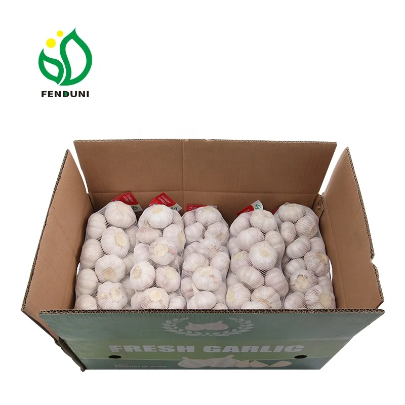 
Supply Fresh Chinese White Garlic New Crop Bawang Putih in Low Price 