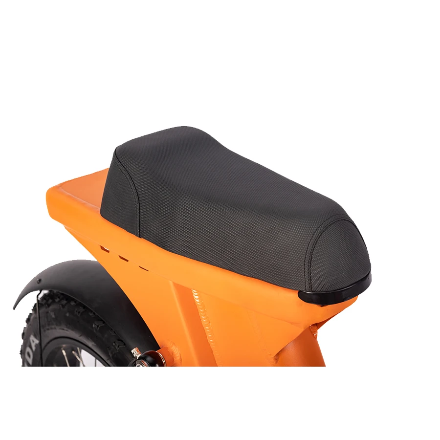 Full suspension fatbike electric 20 inch 250w fat tire ebike cheap price electric dirt bike bicycle electric
