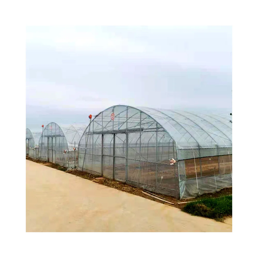 AGROTIME low cost plastic shed greenhouse tomato/potato/lettuce agriculture hoop house full container or half container