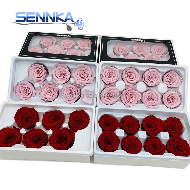  wholesale Preserved Roses 4-5cm size