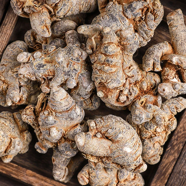 Chinese Natural Herbal Dried Sanqi Root Raw Panax Notoginseng/Pseudo-Ginseng in Block Shape