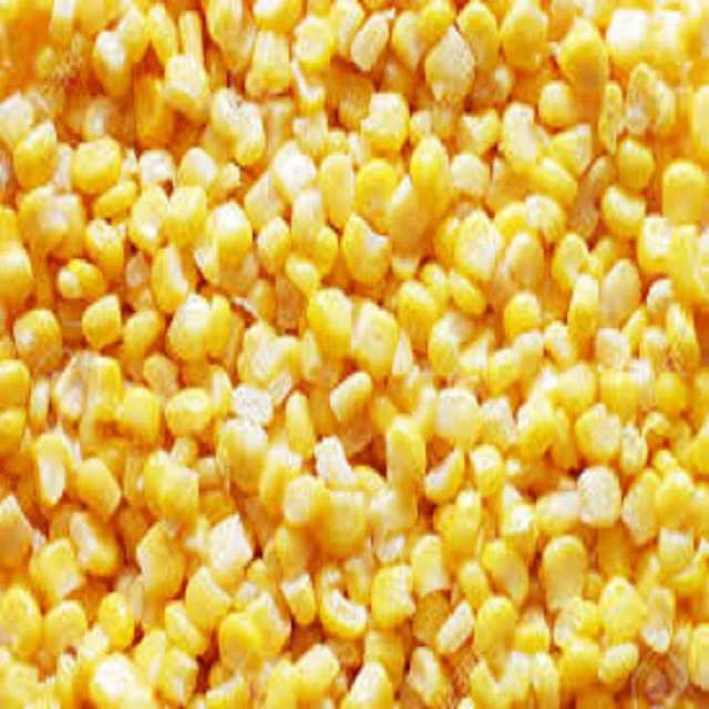 
Best Quality Natural Yellow Corn Maize at Indian wholesale price 