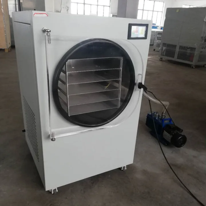 4-6kg Freeze Dryer Strawberry Pitaya Lyophilizer for Fruits and Vegetables