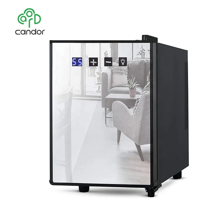 OEM custom foaming door design thermoelectric peltier wine fridge wine cooler 6 bottles manufacturers