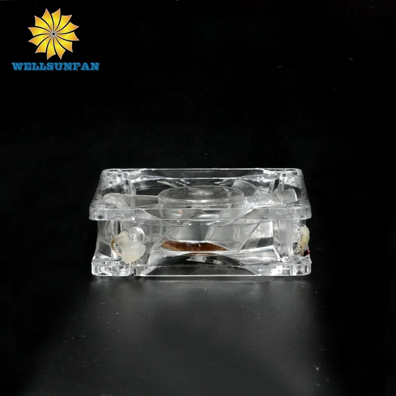 WellSunFan DC 12v/ 24v 80X80X25MM fan 4 leds for computer pc case 8025 PWM speed control 12v brushless 80MM COOLING fan