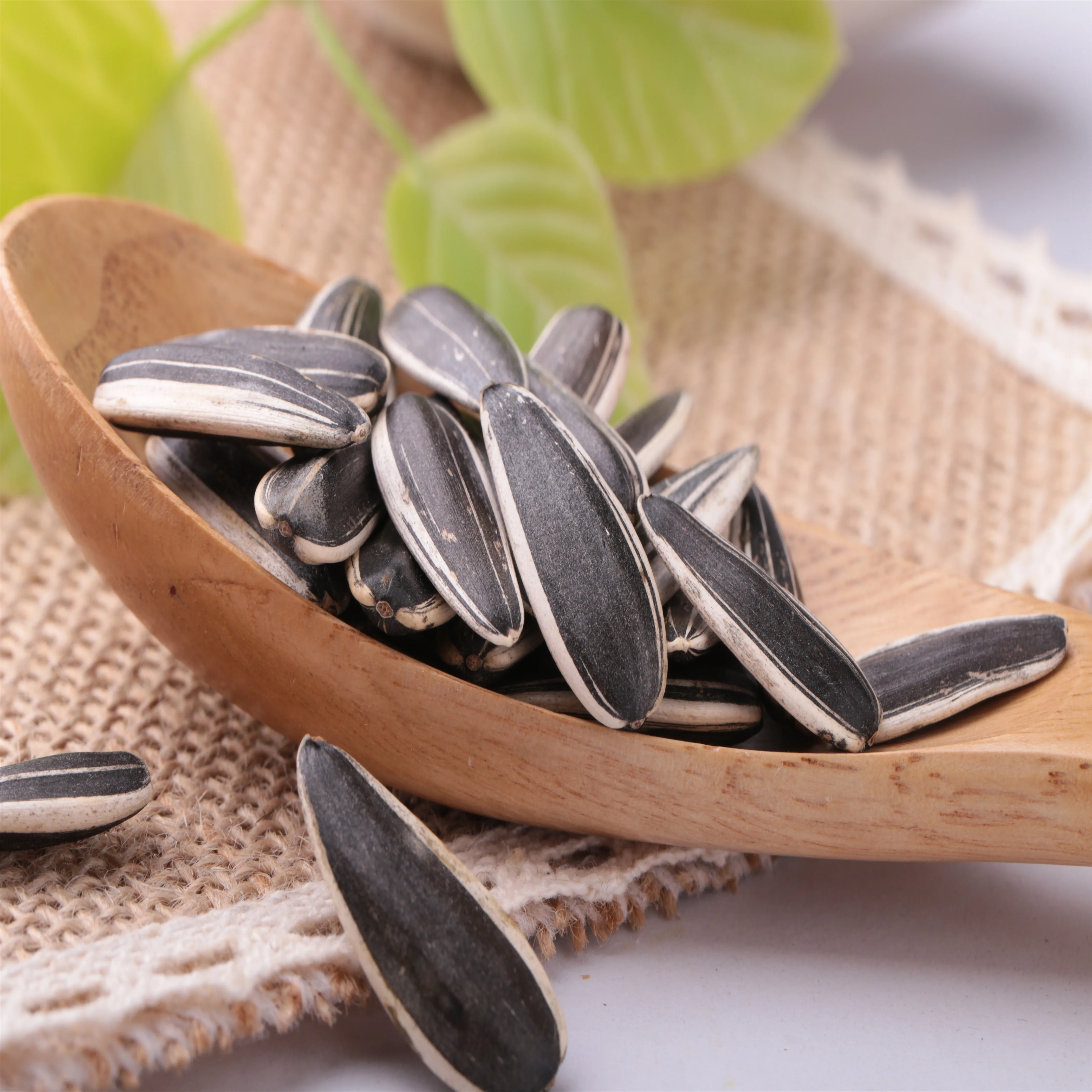 601High Quality First Choice separating sunflower seeds