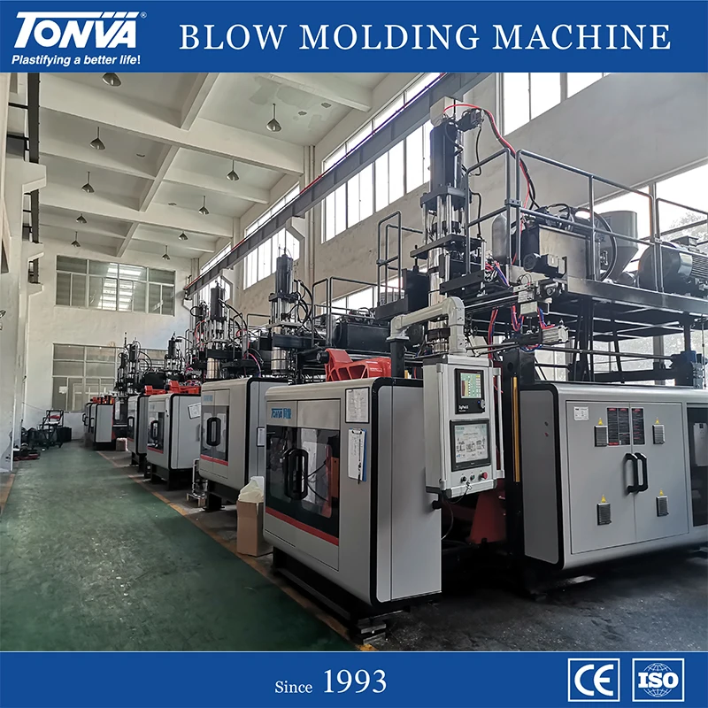 Manufacturing Blister Packaging Plastic Blister Packaging Tray Blow Molding Machine
