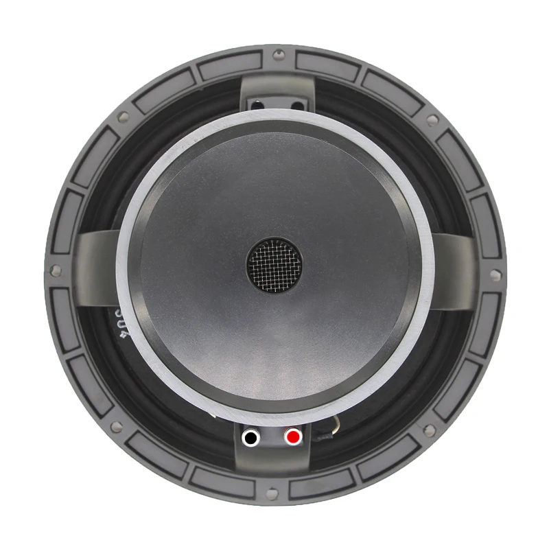 YOTO PRO-DE10M150 High Quality 300 Watt 156mm Magnet Alto Falante Woofer 10 Polegadas 150 Watts