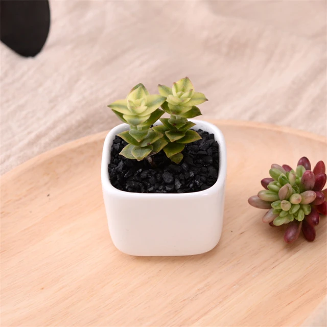 J833 Desk Office Decor White Artificial Small Fleshy Flowerpot Ceramic Mini Square Green Succulent Plant Pot