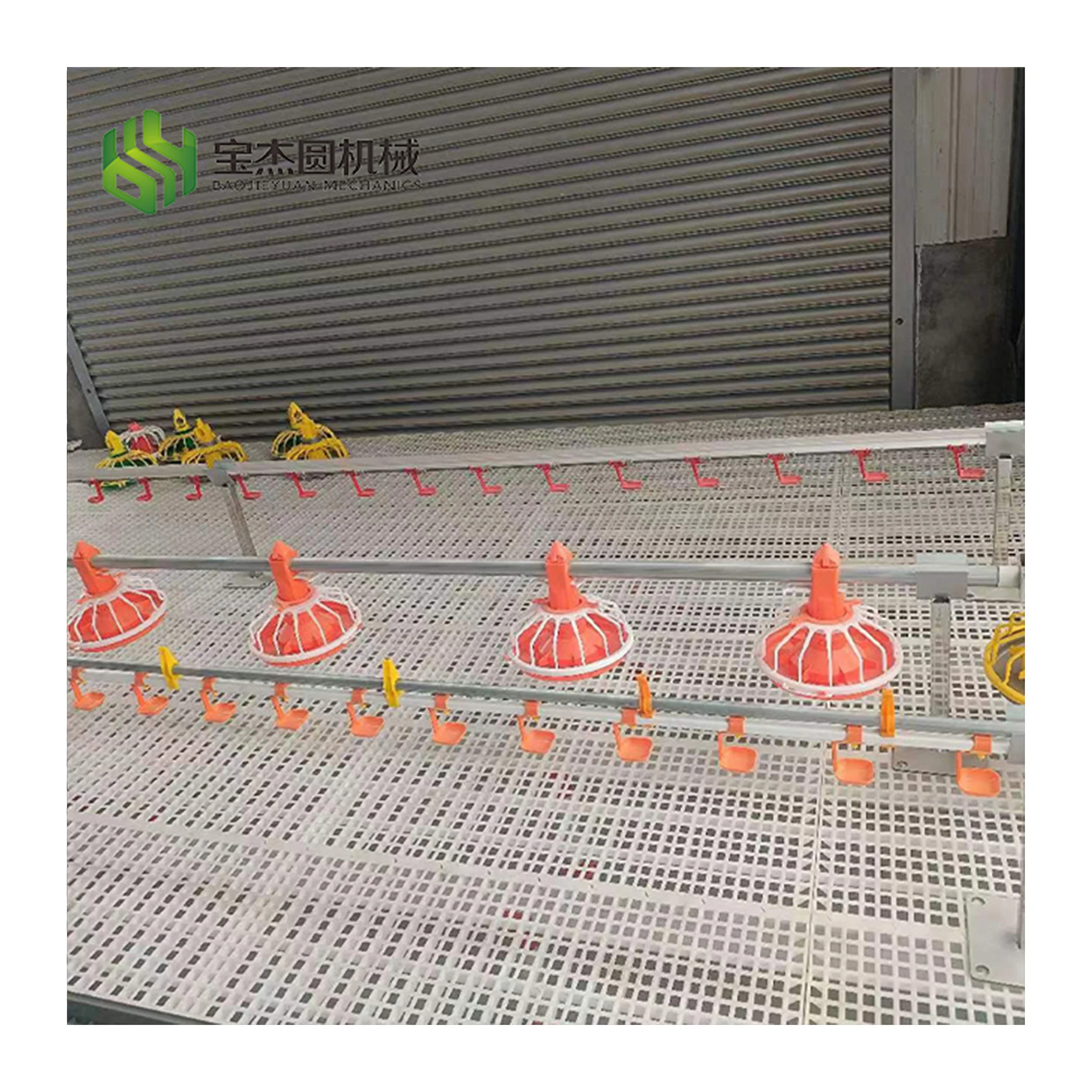 Modern Automatic Broiler Breeder Equipment System Plant Line Layer Farm Chicken House Poultry Equipment for Chicken Feed