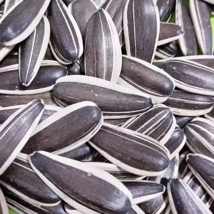 Sunflower Seeds 601 361 363 T6 Sunflower Seeds wholesale for Birds sunflower seeds ton price