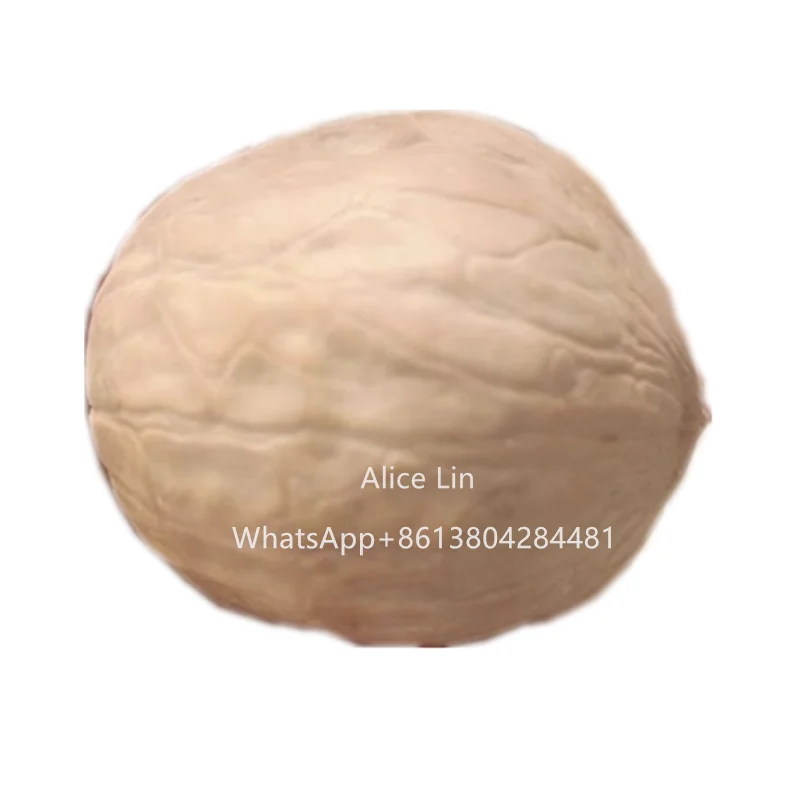 Новый Урожай высококачественного орехового ореха Sensen от Xinjiang Origin, Неочищенный орех