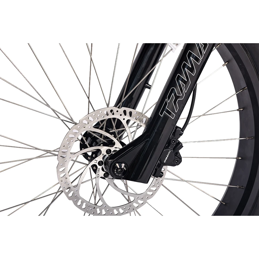 Fast Speed Special Design 48V1000W Mid MOTOR 9 Suspension Fat Tire Electric Mountain Bike ATV